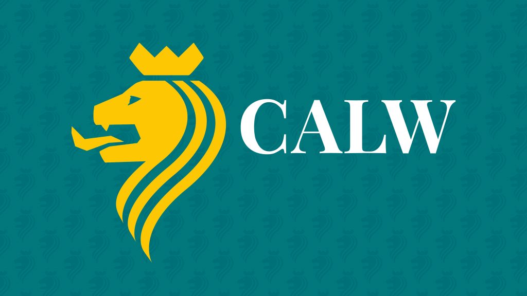 Stadtlogo Calw mit Löwenkopf-Icon auf türkisfarbenem Hintergrund mit Muster im Corporate Design