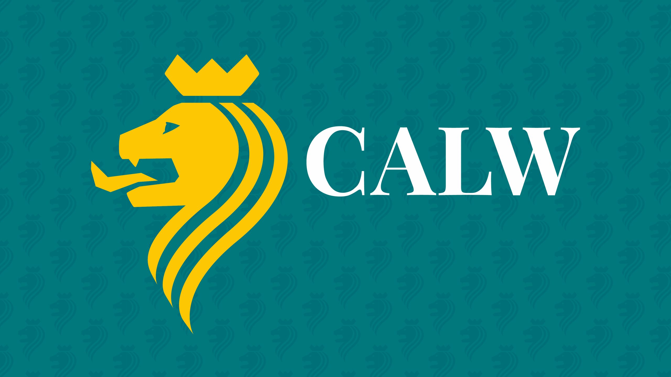 Stadtlogo Calw mit Löwenkopf-Icon auf türkisfarbenem Hintergrund mit Muster im Corporate Design