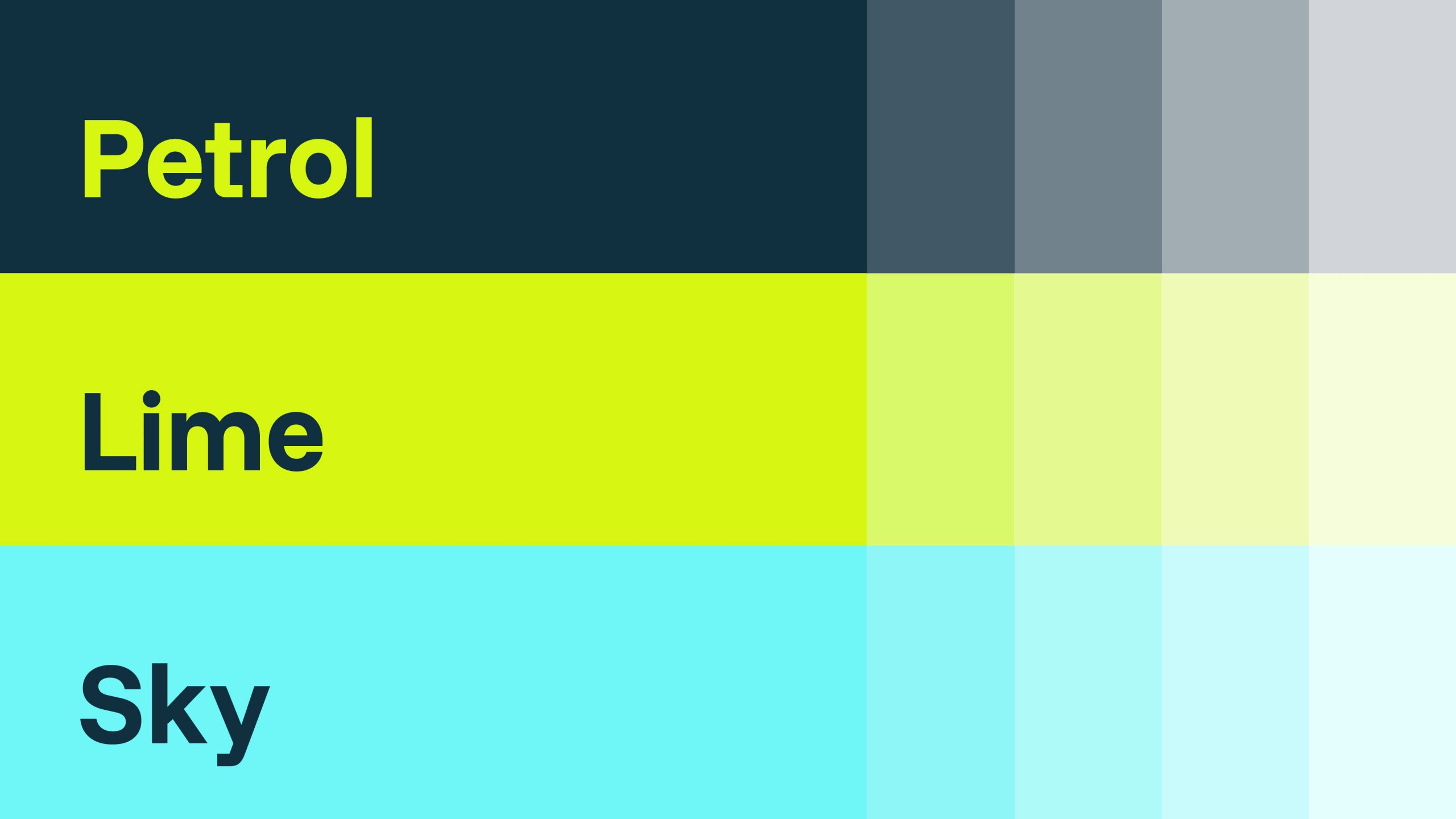 branda-sonnbeck-rebranding-farben